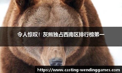 令人惊叹！灰熊独占西南区排行榜第一